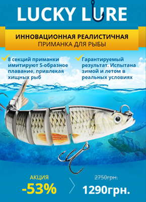 Сайт лендинг приманка для рыбы купить – Товарный лендинг для бизнеса