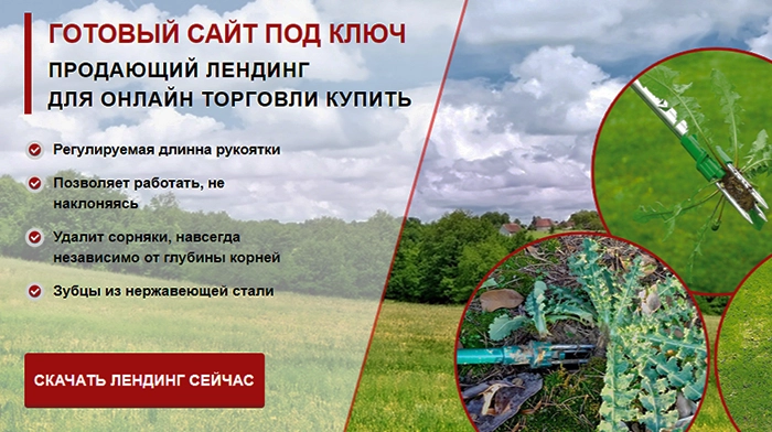 Купить Сайт Под Ключ Цена, Цена, Стоимость, Недорого