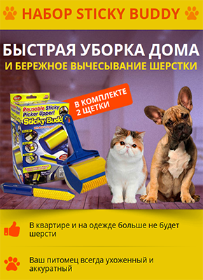 Заказать Сайты Цены